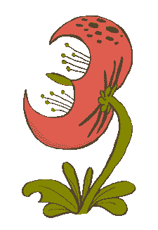 Planta carnivora ilustrada