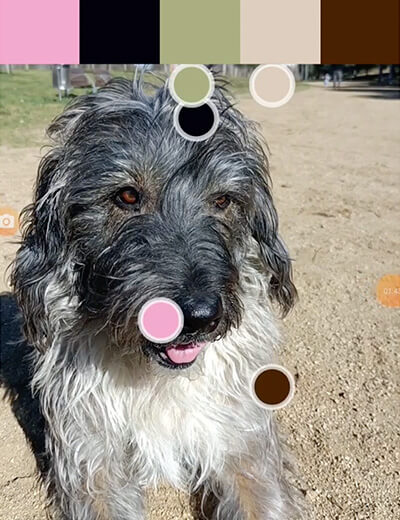 Adobe Capture.Haz clic. Captura. Crea.